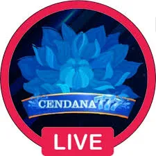 CENDANA777 - Permainan Domino Seru dan Mengasyikkan